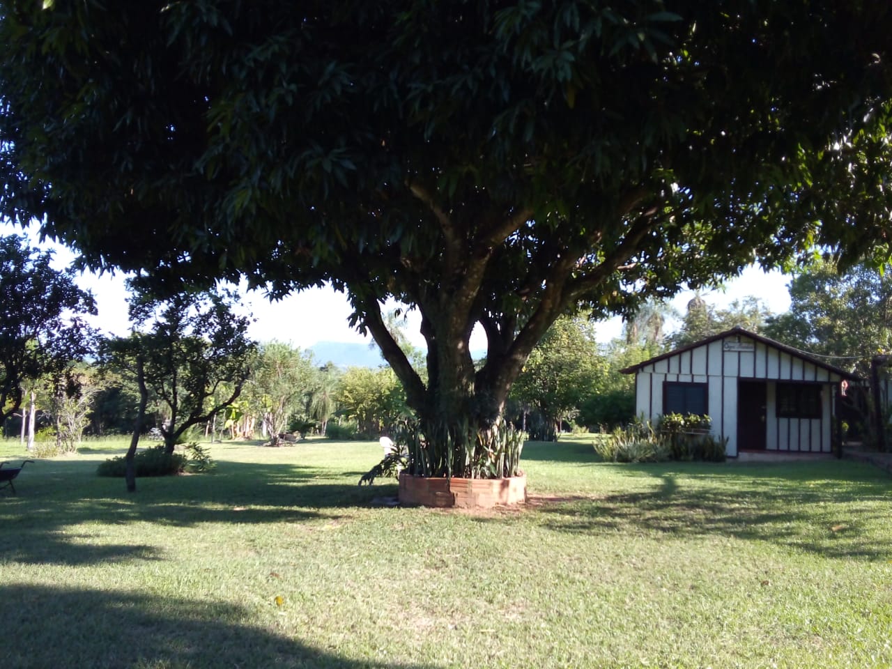 El Abuelo - Posada